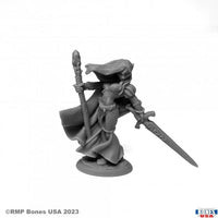 Alastriel, Elf Wizard 30127