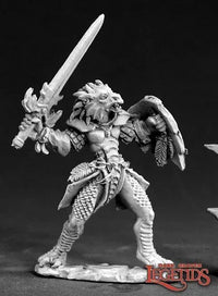 Na'Kaat, Female Half Dragon Paladin 03403 (metal)