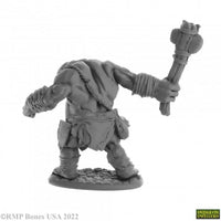 Ogre Clubber 07062