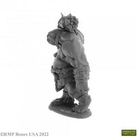 Ogre Guard 07063