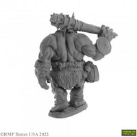 Ogre Guard 07063