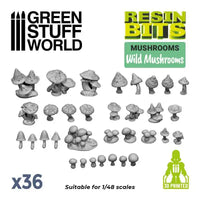 Green Stuff World Wild Mushrooms 11608