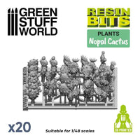 20x Nopal Cactus Peer Cactus set 11612