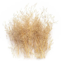 Hobby Dunne Bomen 13509
