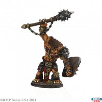Bhonk, Bugbear Chieftain 30005