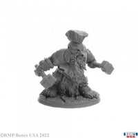 Dorn Ironspike, Dwarf Warrior 30089