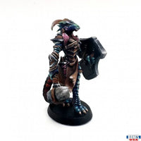 Tarmiczi, Female Dragonblood Paladin 30147