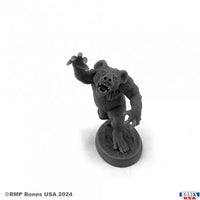 Dropbear 30166