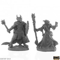 Dragonfolk Wizard and Cleric 44144