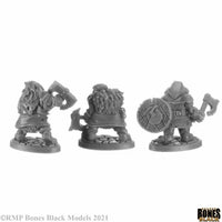 Crypt of the Dwarf King Boxed Set 44151
