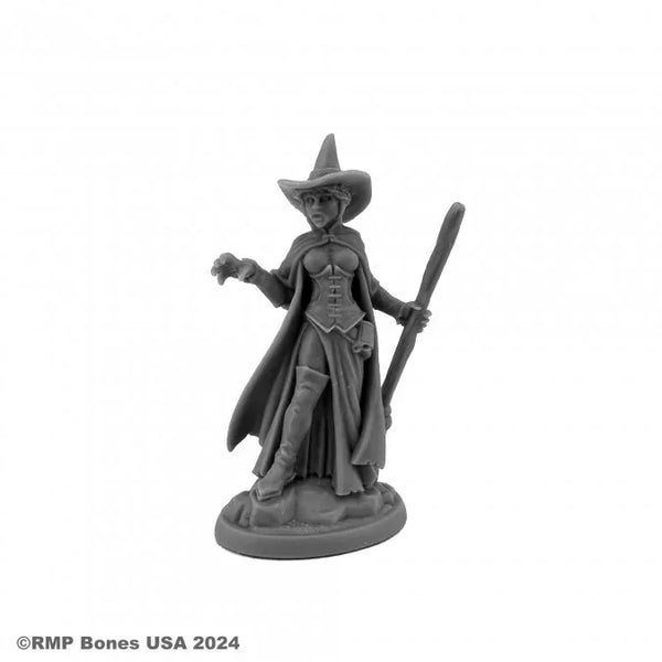 Wild West Oz Wicked Witch 48022