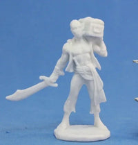Hajad, Pirate 77134