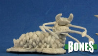 Charnel Grub 77226