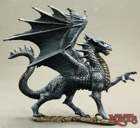 Silver Dragon 77329