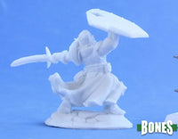 Sir Rathan Kranzhel Human Fighter 77385