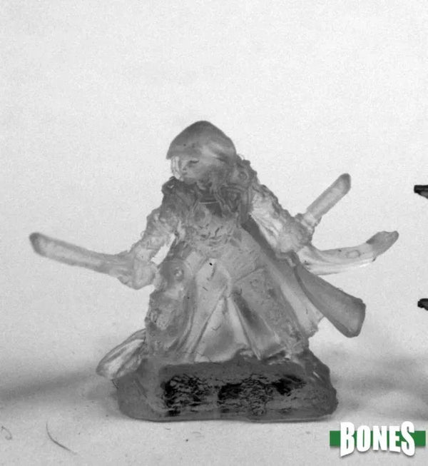 Invisible Rogue 77449