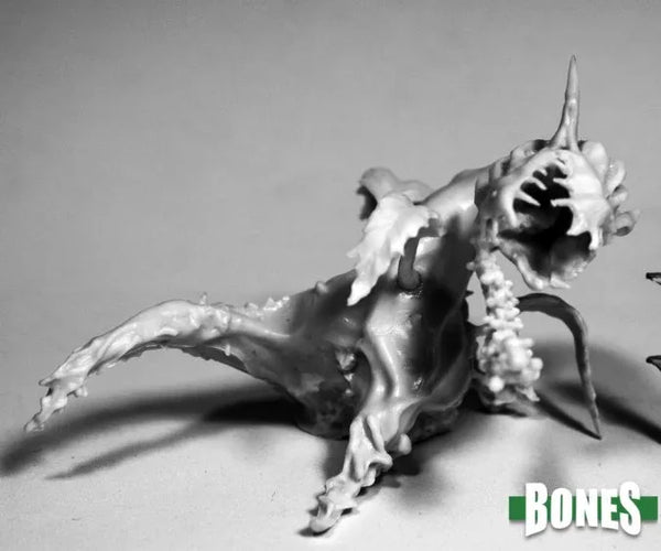 Dragon Plant 77505