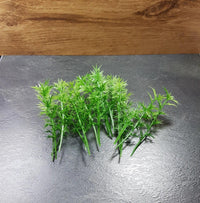 Bamboe Bomen 20 stuks