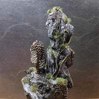 Rock: Schors (bag)