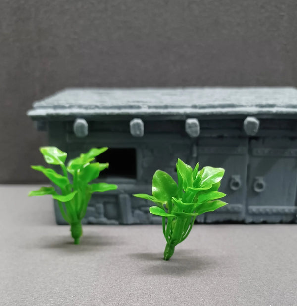 Groene Plant 4 cm Hoog 10 Stuks