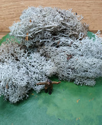 IJslands Mos Grijs 20 gram