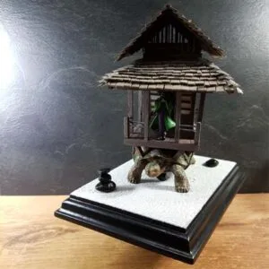 Japanse Teahouse on turtle