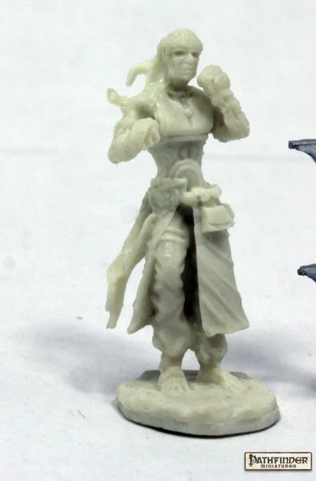 Reaper Miniatures Pathfinder Brotherhood Of The Seal 89035