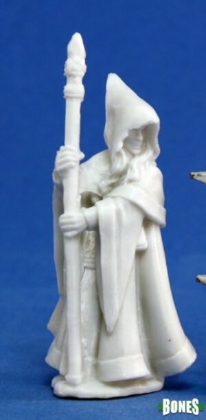 Reaper Miniatures Anirion, Wood Elf Wizard 77068