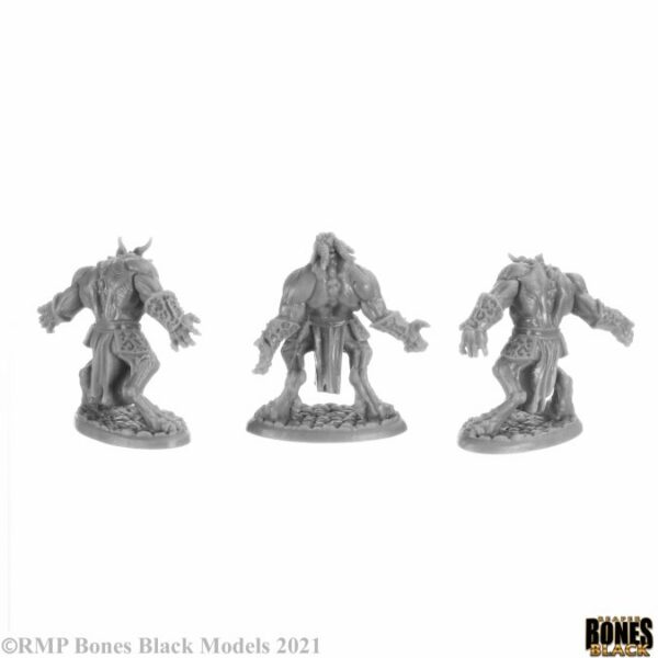 Reaper Miniatures Blood Demons Boxed Set 44150