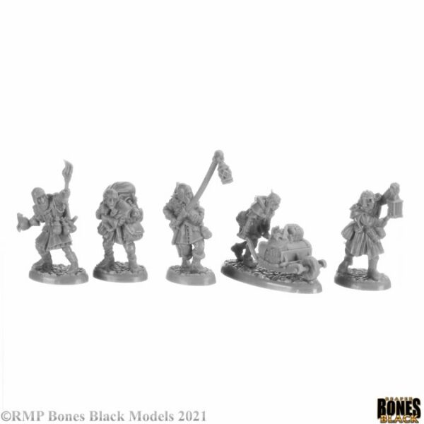Reaper Miniatures Henchmen and Hirelings Boxed Set 44149