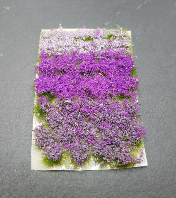 Lavender Flowers & Bushes Mix
