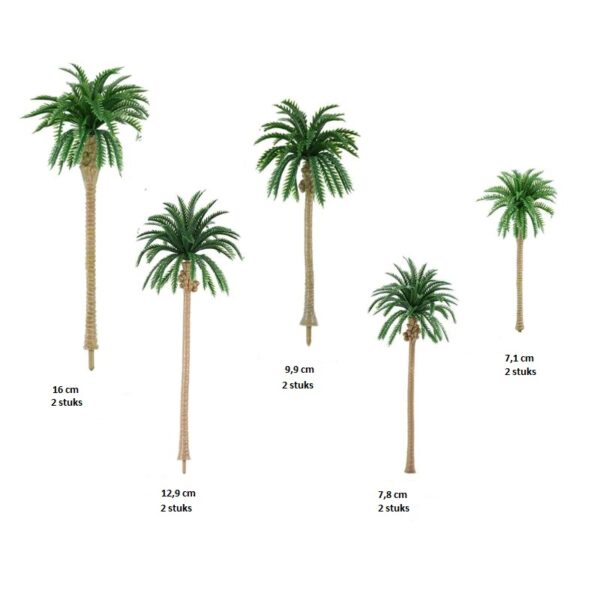 Kokosnoot Palmbomen Scenery en Zo