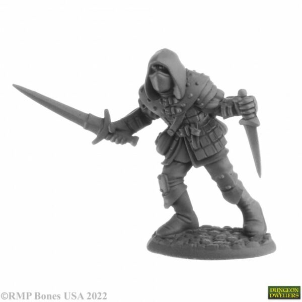 Reaper Miniatures Naus, Waghalter (Human Rogue) 07060