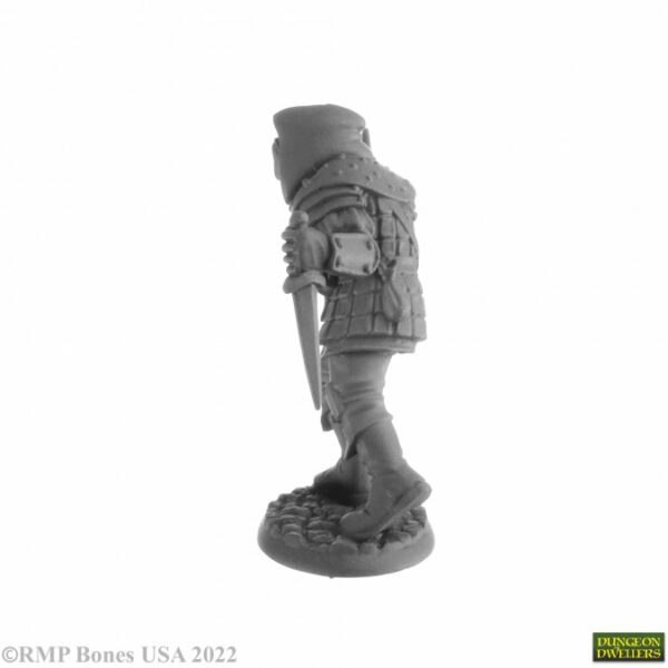 Reaper Miniatures Naus, Waghalter (Human Rogue) 07060
