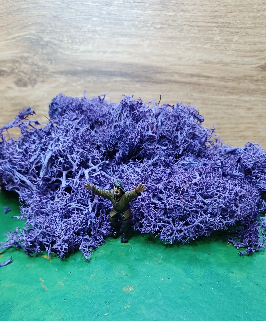 IJslands Mos Paars 20 gram