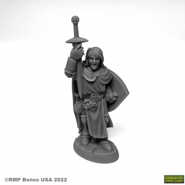 Reaper Miniatures Sir Danarel the Holy 07076