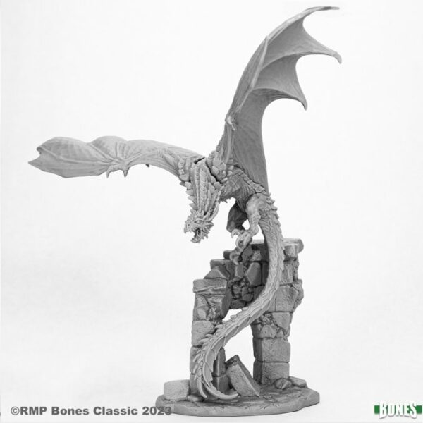 Reaper Miniatures Blacksting the Wyvern 77981 Deluxe Boxed Set