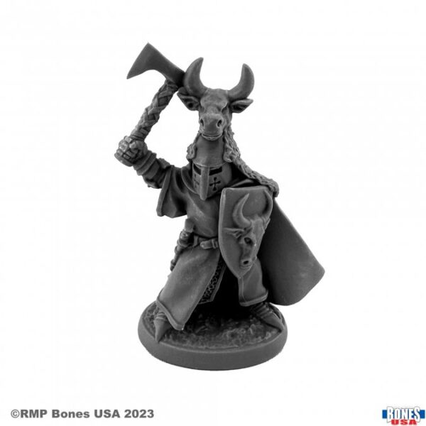 Reaper Miniatures Sir Guy the Red 30151