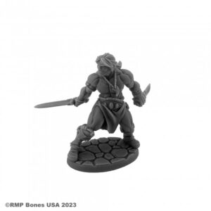 Reaper Miniatures Hyborian Hero 07116