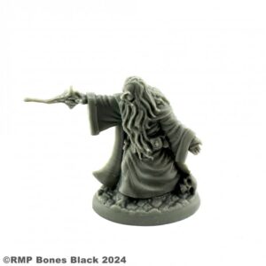 Reaper Miniatures Erebus Nalas, Evil Sorcerer 20349