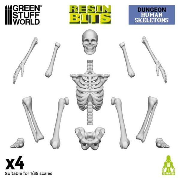 GSW 3D printed set - Human Skeletons 1:35 X4 12304