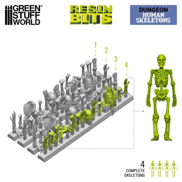 GSW 3D printed set - Human Skeletons 1:35 X4 12304