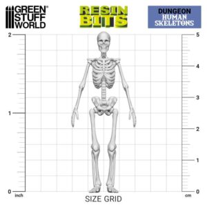 GSW 3D printed set - Human Skeletons 1:35 X4 12304