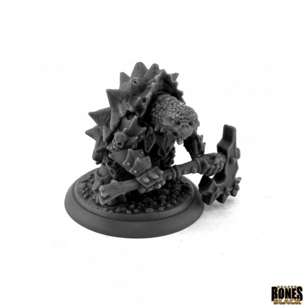 Reaper Miniatures Spikeshell Antipaladin 44189