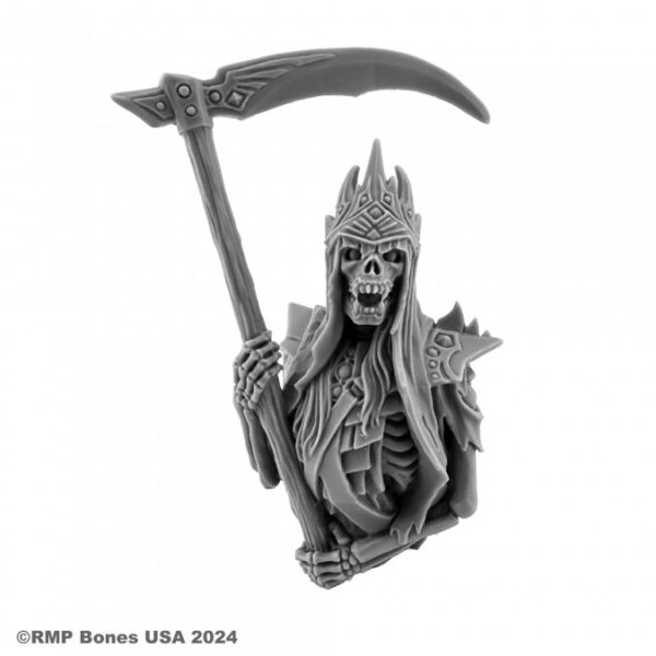 Reaper Miniatures Null the Reaper (Bust) 01653