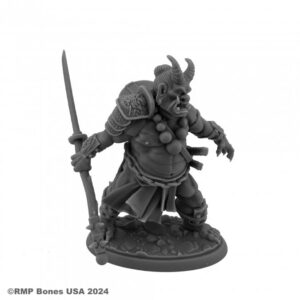 Reaper Miniatures Ogre Magi 07143